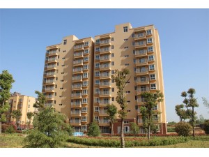2015年度安慶市質量安全標...